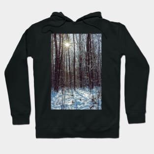 Winter forest Hoodie